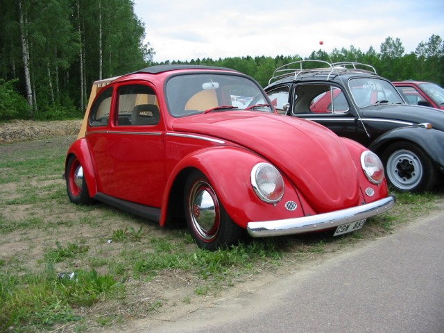 fot.Jurek