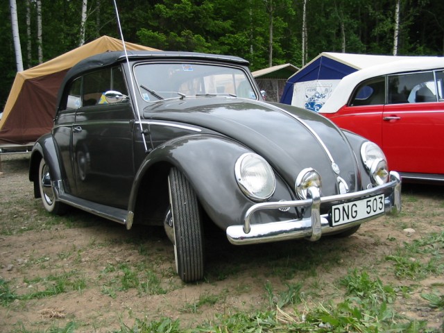 fot.Jurek