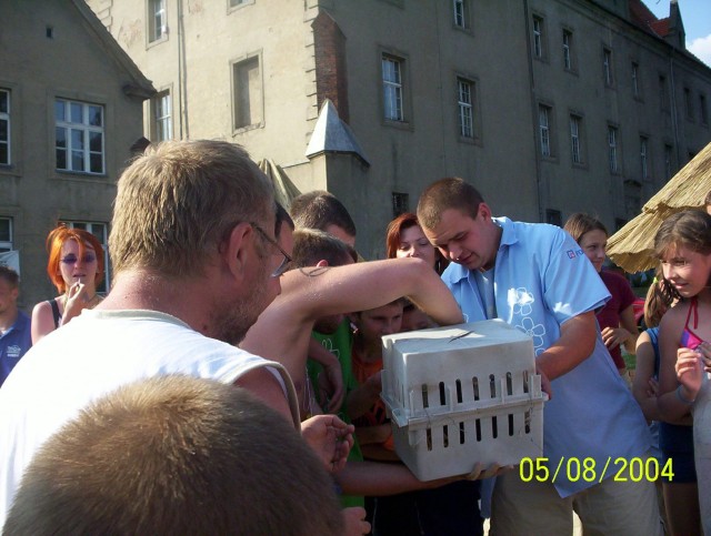 fot.Dominik
