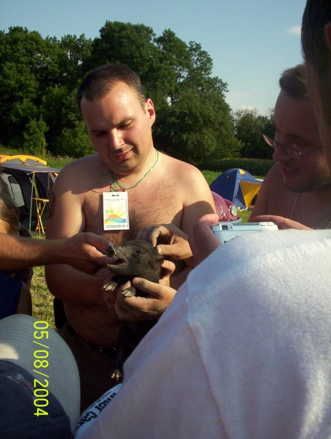 fot.Dominik