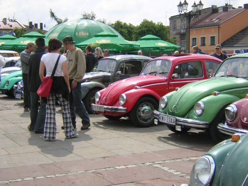 Obraz_1113.jpg
