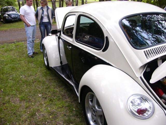 P1010267.jpg