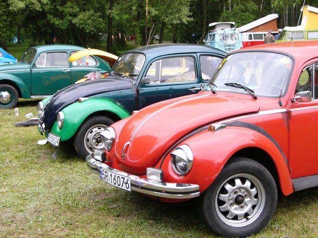 P1010286.jpg