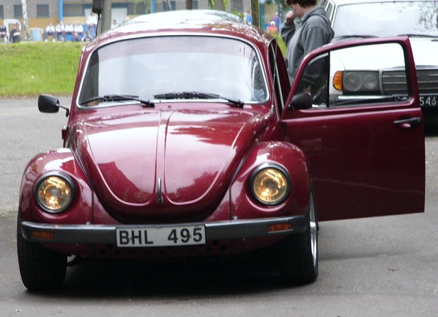 P1010305.jpg
