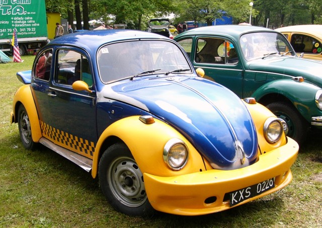 P1010431.jpg