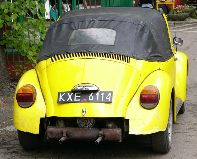 P1010451.jpg