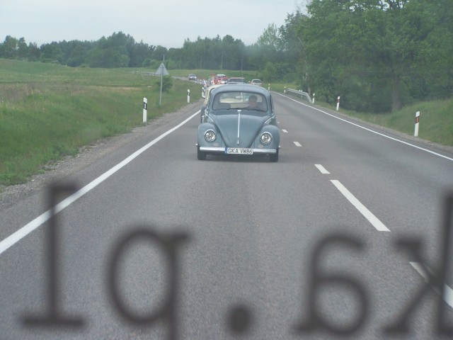 fot.Magnus