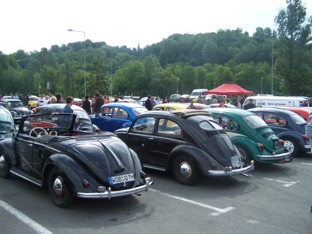 fot.Magnus