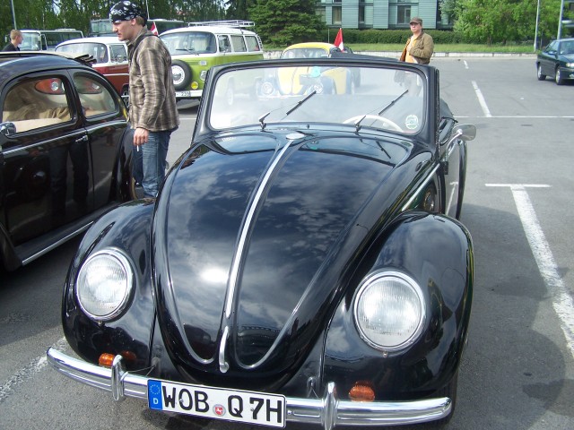 fot.Magnus