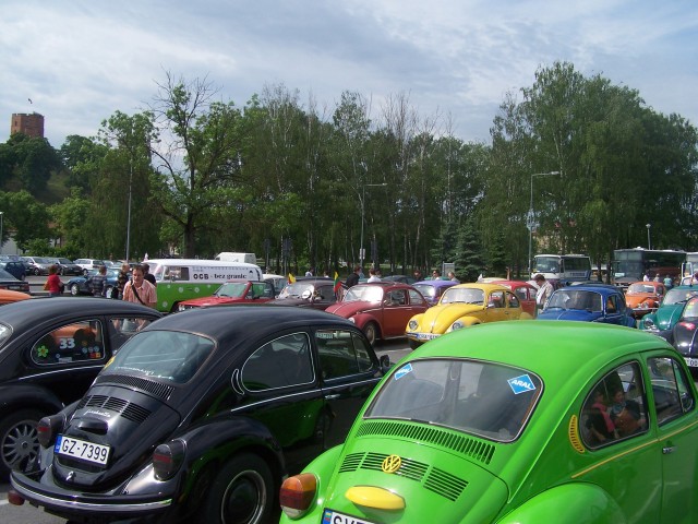 fot.Magnus