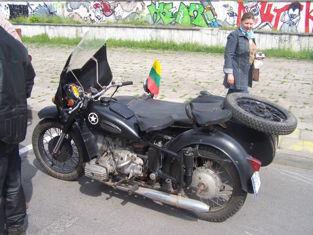fot.Magnus