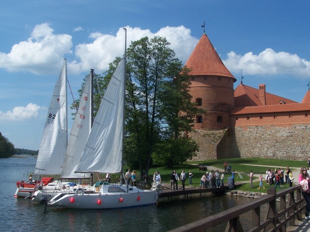 fot.Magnus