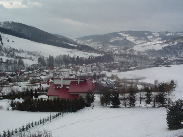 DSC00156.jpg