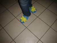 najcudniejsze papućki wśród Stokrotek :)