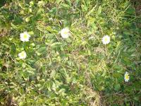 sztokroteczki śliczniutkie:)