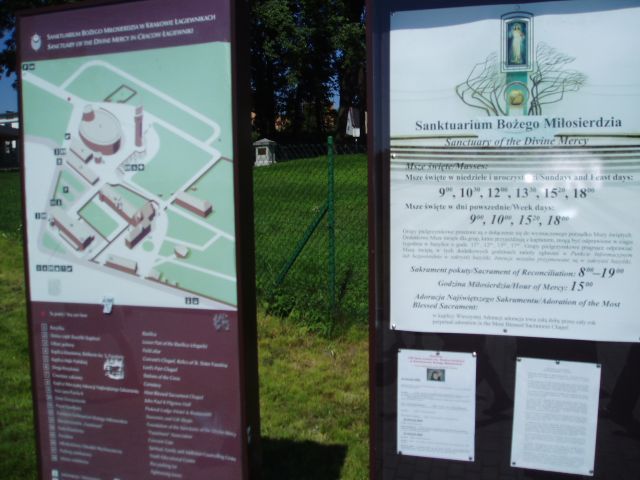 P8200091.jpg