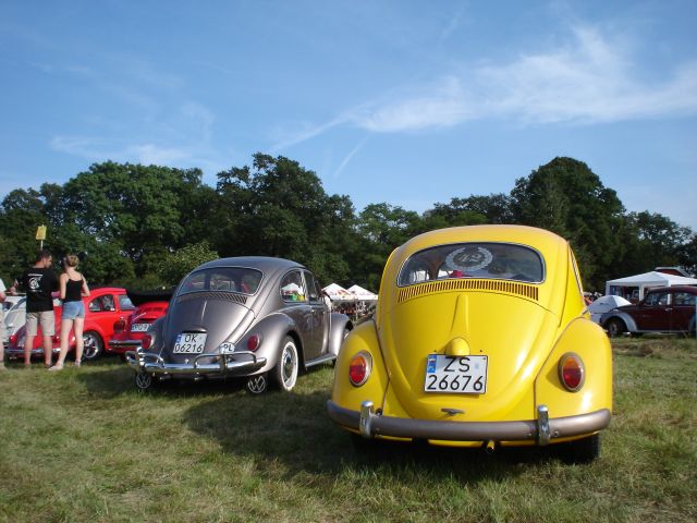 garby_051.jpg