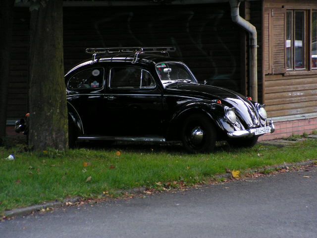 JESENIK_109.jpg