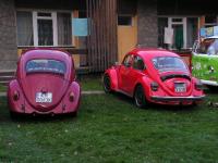 no co... garbiki i tyle.