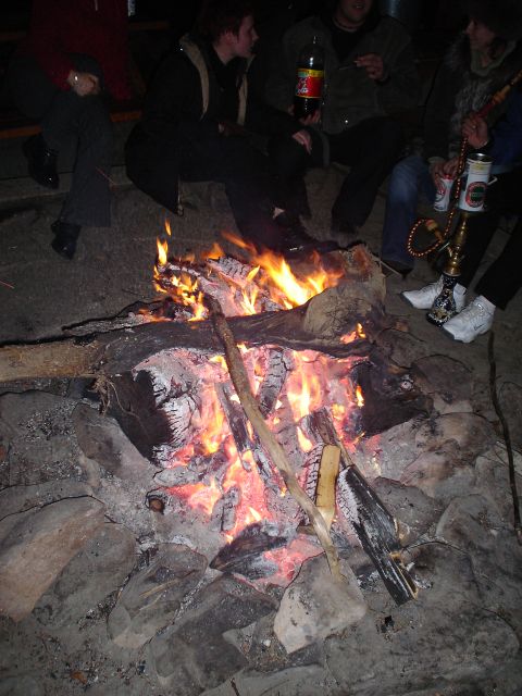 DSC03452.jpg