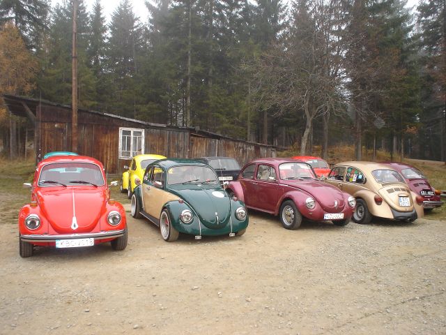 DSC03506.jpg