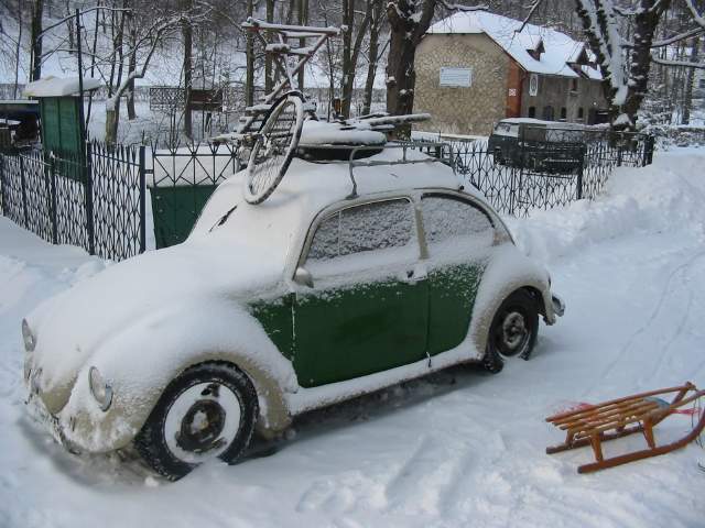 Filipowy