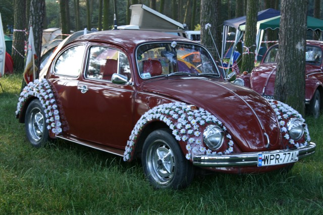 fot.Jurek