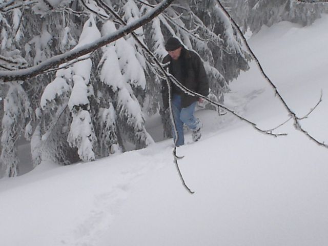 DSC04709.jpg