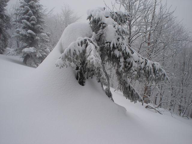 DSC04711.jpg