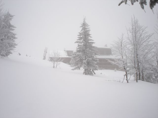 DSC04713.jpg