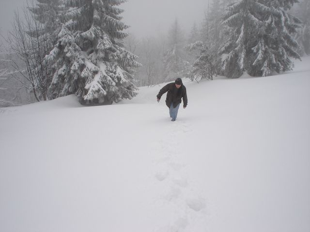 DSC04714.jpg