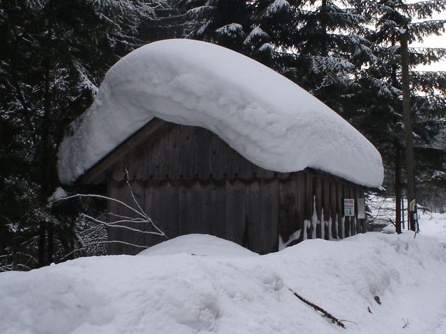DSC04721.jpg