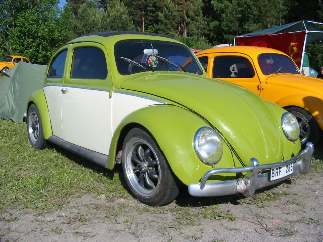fot.Jurek