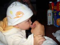 najmłodsza stokroteczka