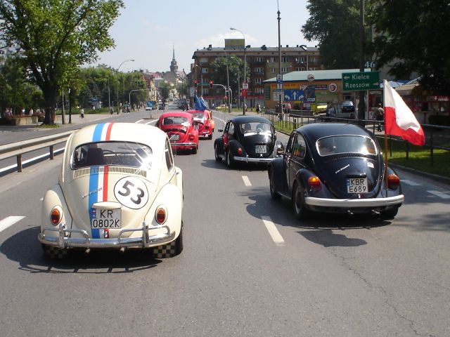 DSC05743.jpg