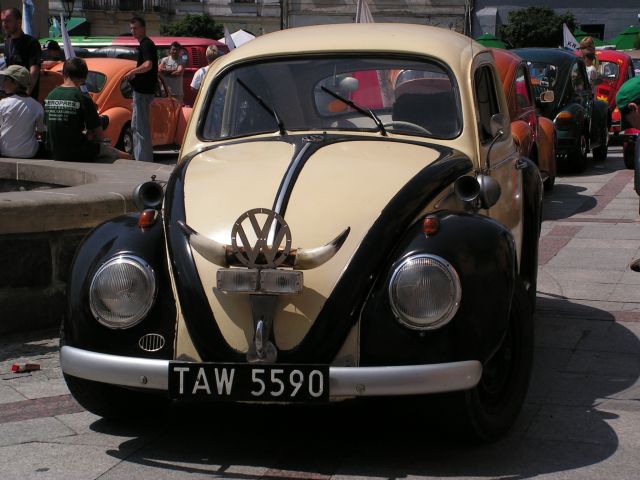 zdjecia_071.jpg