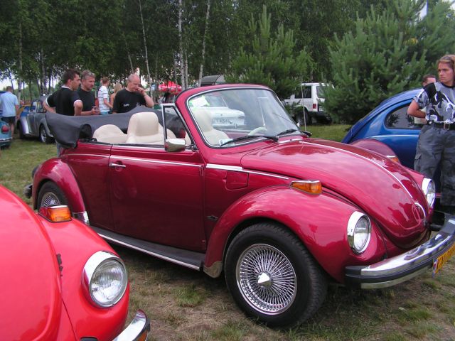 zdjecia_130.jpg