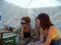 fot.Ewelinka Przygoda - zmęczone stokrotki