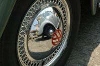 fot.Michał "VW TRENDS" 