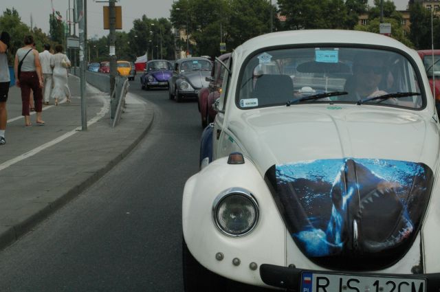 fot.Michał "VW TRENDS" 
