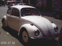 fot.Gosia Soczówka - przypadkowo spotkany Garbik