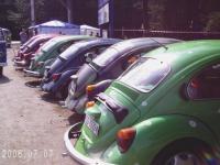 fot.Gosia Soczówka - garbate ty?eczki