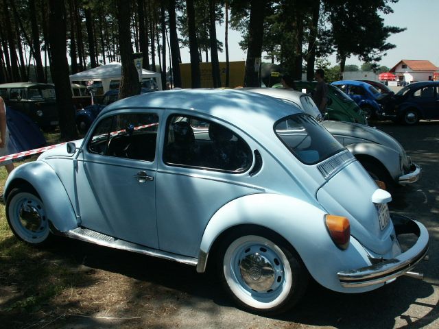 fot.Marwerik