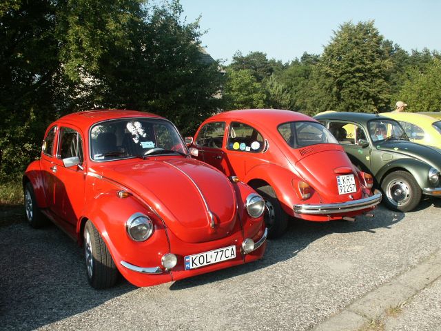 fot.Marwerik