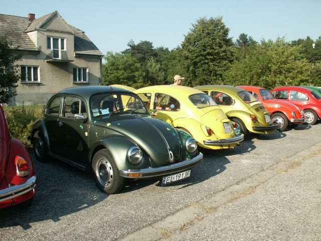 fot.Marwerik