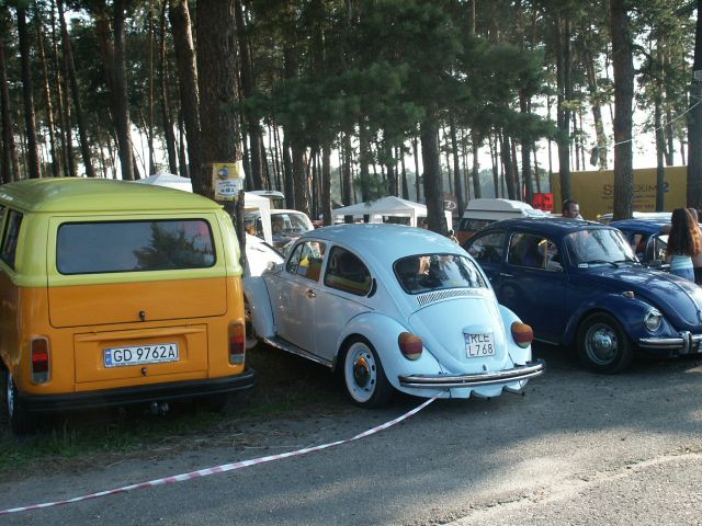 fot.Marwerik