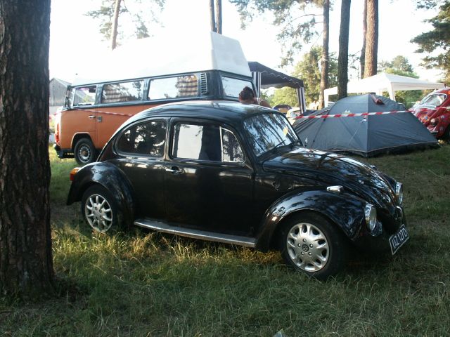 fot.Marwerik