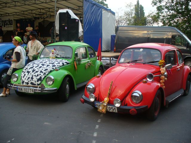 P1020071.jpg