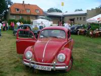 fot.Dominik
