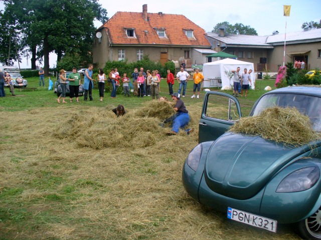 fot.Dominik